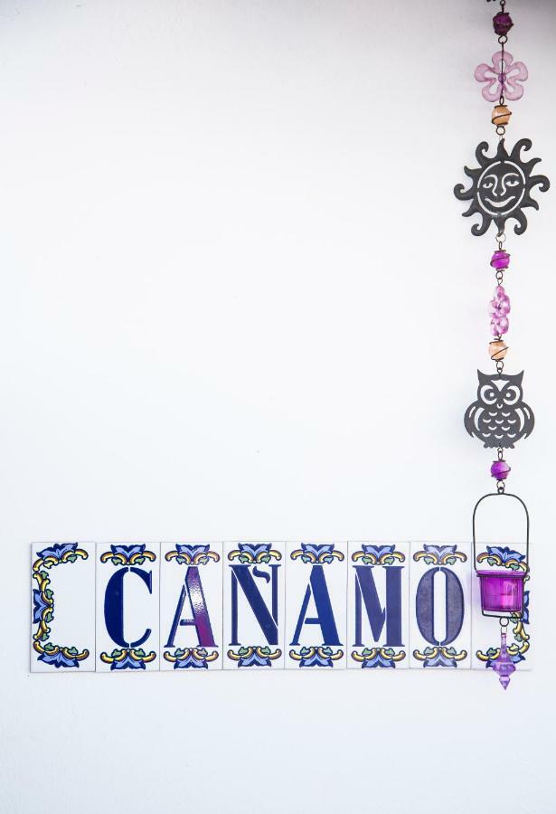 Canamo 塔马达斯特 外观 照片
